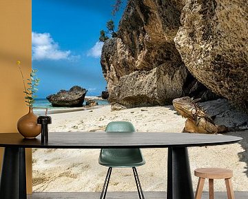 De Strandwacht van Bonaire: Leguaan op Playa Wayaka