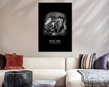 Macaw van Leopold Brix