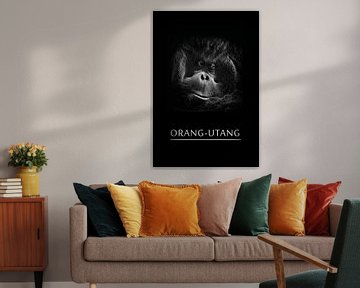 Orang-Utang