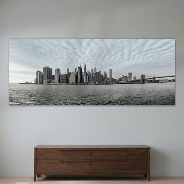 Uitzicht over Manhattan vanaf Brooklyn