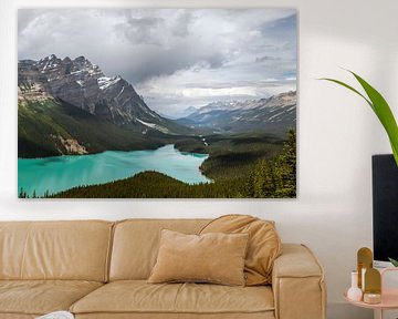 Peyto Lake in Alberta