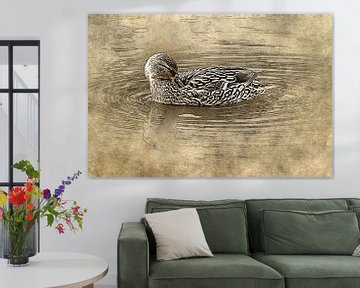 Female duck is washing itself by Art by Jeronimo