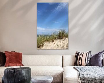 Dune sur Ostsee Bilder