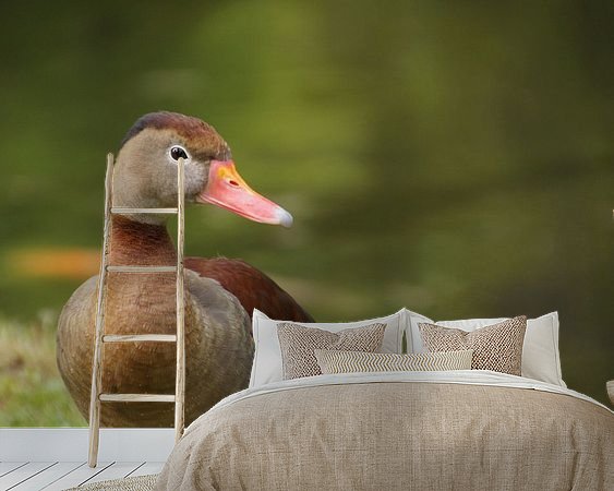 Voorbeeld van het werk in een kamer