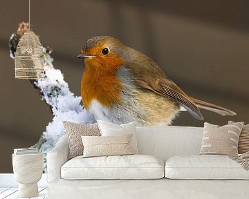 Roodborst in the sneeuw. van Beschermingswerk voor aan uw muur