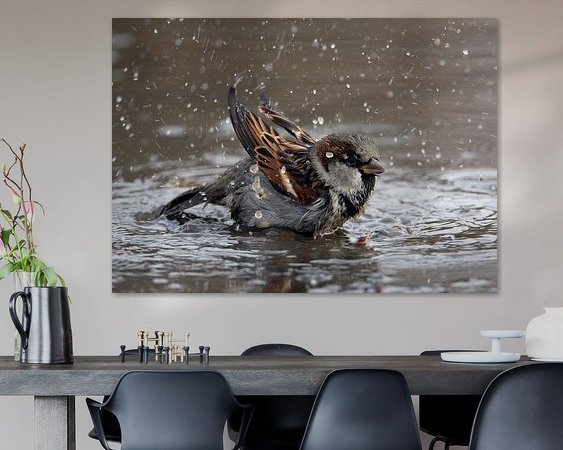 Aperçu de la chambre