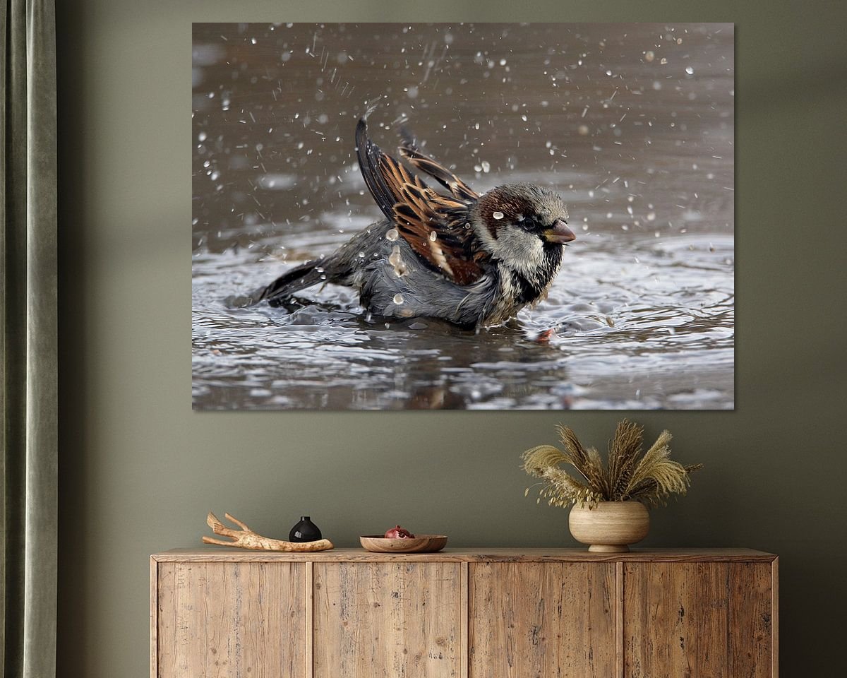 Voorbeeld van het werk in een kamer