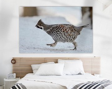 Hazel Grouse in the snow by Beschermingswerk voor aan uw muur