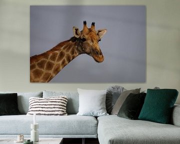 Grappige giraffe van Erna Haarsma-Hoogterp