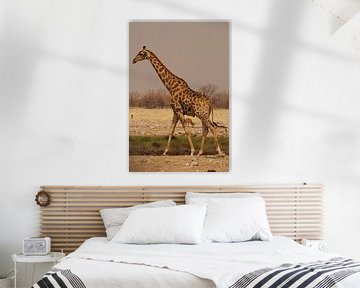 Giraffe op de steppe by Erna Haarsma-Hoogterp