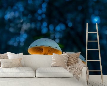 Verlichte paddenstoelen von Edward Sarkisian