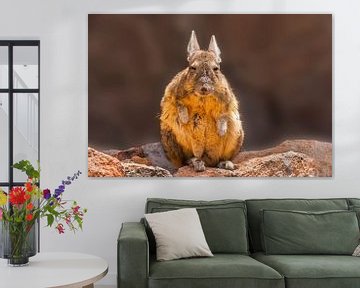 Portret van een Viscacha van Chris Stenger