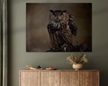 Eurasian eagle owl by Beeld Creaties Ed Steenhoek | Photography and Artificial Images
