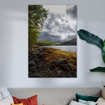 Loch Sunart / Shuaineart, Scotland