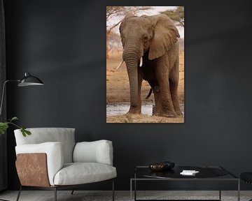 Wilde olifant by Erna Haarsma-Hoogterp