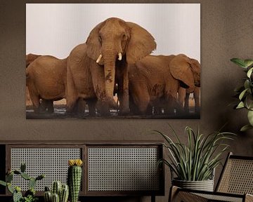 Wilde olifanten bij de drinkplaats van Erna Haarsma-Hoogterp