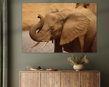 Poserend olifantje van Erna Haarsma-Hoogterp