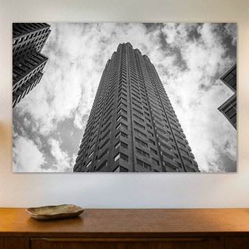 Rotterdam Otto Reuchlinweg