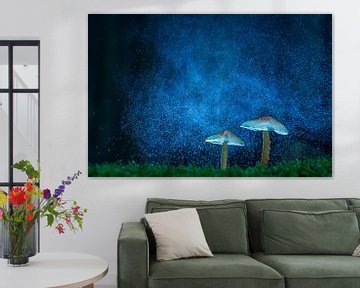 Mushrooms on the galaxy by Berend-Jan Bel