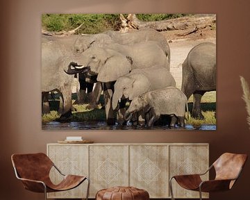 Familie olifant van Erna Haarsma-Hoogterp