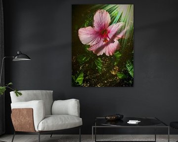 Roze bloem