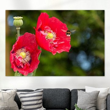 Hommel aan het werk.