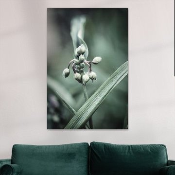 weiche farben schöne formen