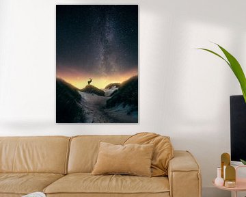 Damhert onder de sterren (Melkweg) van marco jongsma