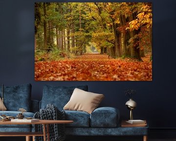 Forêt d'automne sur Bram van Broekhoven