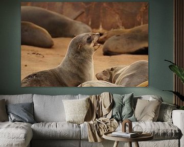 Blaffende zeehond by Erna Haarsma-Hoogterp