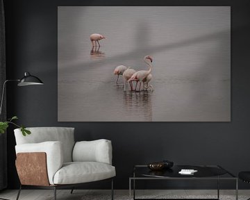 Flamingo's in de zee van Erna Haarsma-Hoogterp