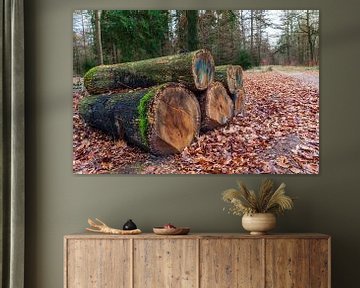 Baumstämme liegen entlang eines Waldweges in Drenthe von Evert Jan Luchies