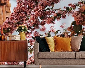 Bougainvillea flowers in Pals city, Costa Brava, Spain by Manon Visser