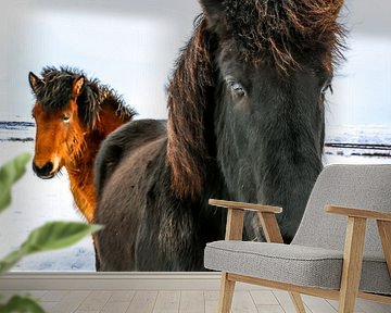 IJslandse paarden van Jo Pixel
