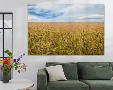 The Wheat Field by Johan Vanbockryck