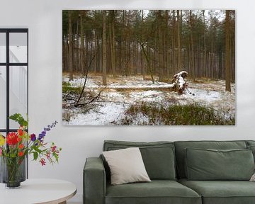 Snowy tree by Johan Vanbockryck