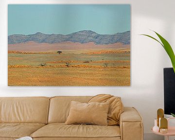 Namibian colorful desert landscape