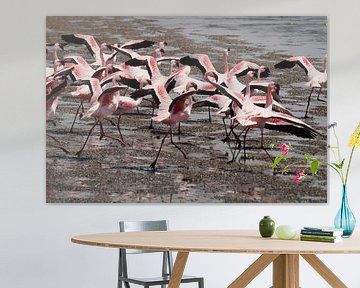 Opvliegende flamingo's van Erna Haarsma-Hoogterp