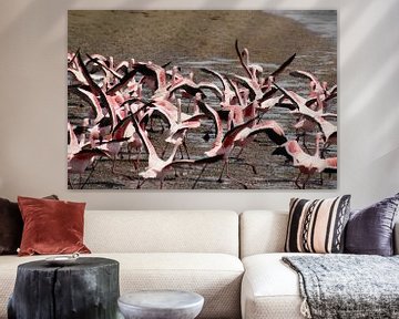 Flying Flamingo's by Erna Haarsma-Hoogterp