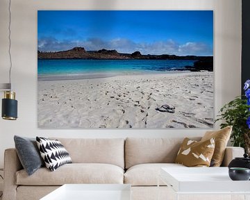 beautiful Galapagos beach by Marieke Funke