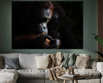 orangutan by Jessica Jongeneel