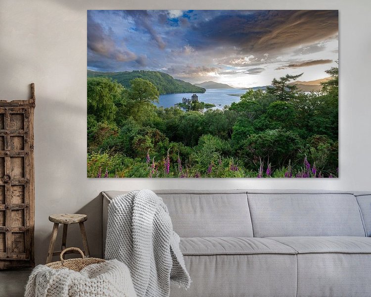 Aperçu de la chambre