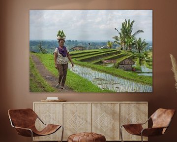 Balinese op de Jatiluwih rijstvelden sur Lex van Doorn