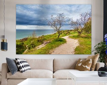 Landscape on the Baltic Sea coast van Rico Ködder