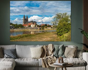 View over the river Elbe to Magdeburg, Germany van Rico Ködder