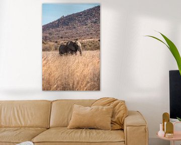 olifant in zuid-afrika van Maarten Starink Photography