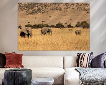 familie olifant in zuid afrika van Maarten Starink Photography