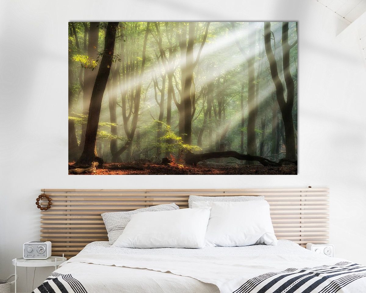 Aperçu de la chambre