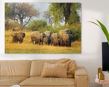 Olifant familie in Botswana van Marieke Funke