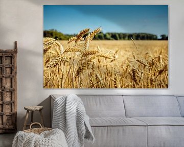 Grainfield von rosstek ®